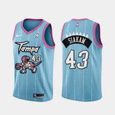 Regata Nike Swingman Toronto Raptors "Siakam" N° 43